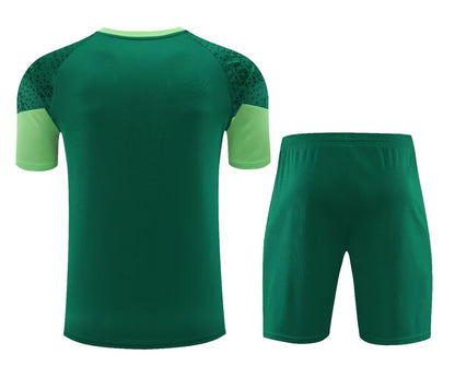 Palmeiras 2024/2025 Tracksuit