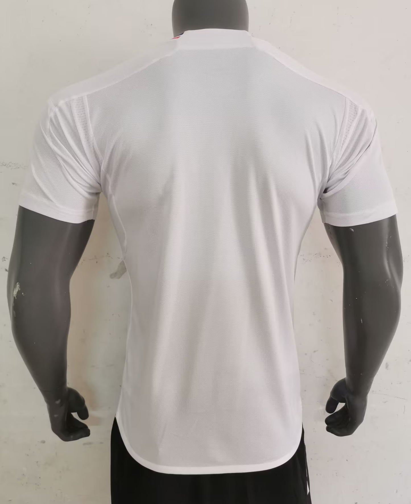 Lyon 2023/2024 Home Fan Version Football Jersey