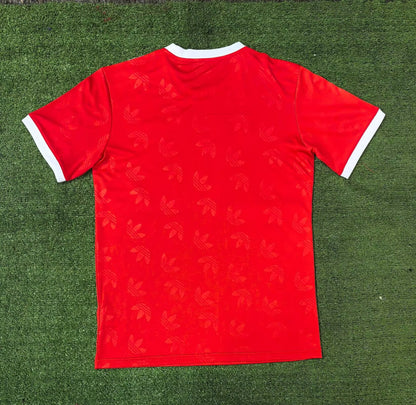 Bayern Munich Special Edition 2024/2025 Fan Version Football Jersey