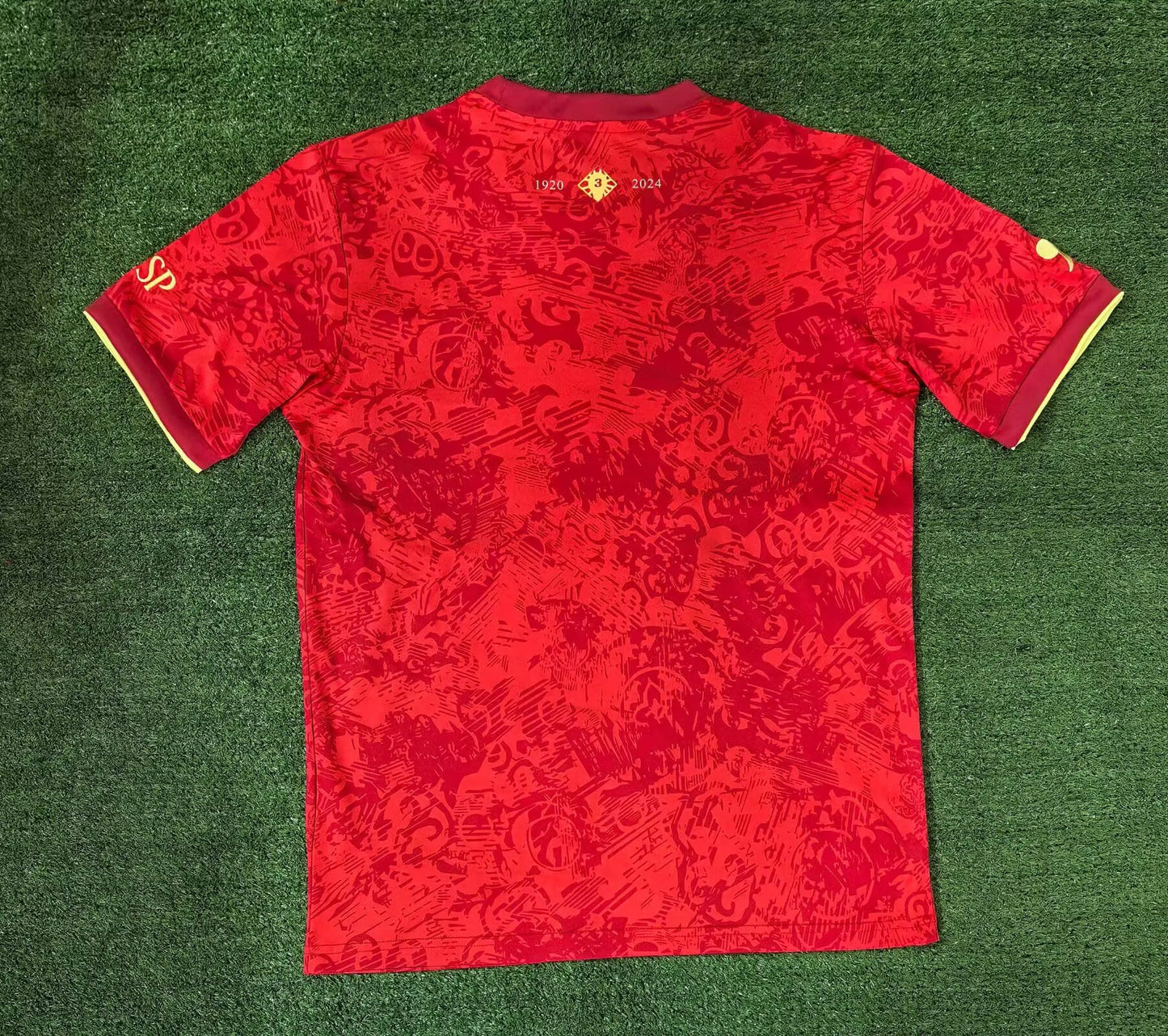 Spain Special Edition 2024/2025 Fan Version Tracksuit