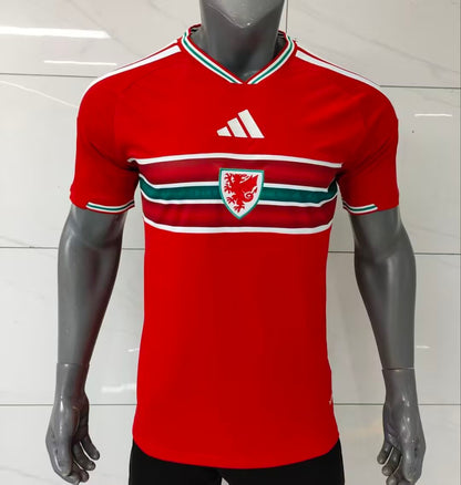 Wales 2026/2027 Home Fan Version Football Jersey