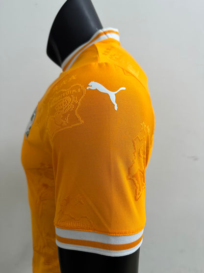 Cote dIvoire 2025/2026 Home Player Version Football Jersey
