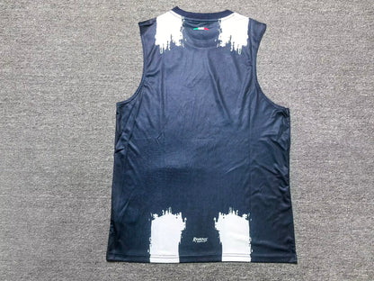 Monterrey 2025/2026 Home Fan Version Football Jersey