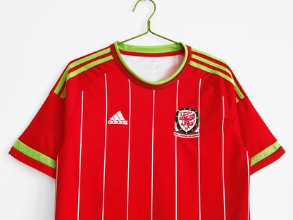 Retro National Team 2015/2016 Home Football Jersey
