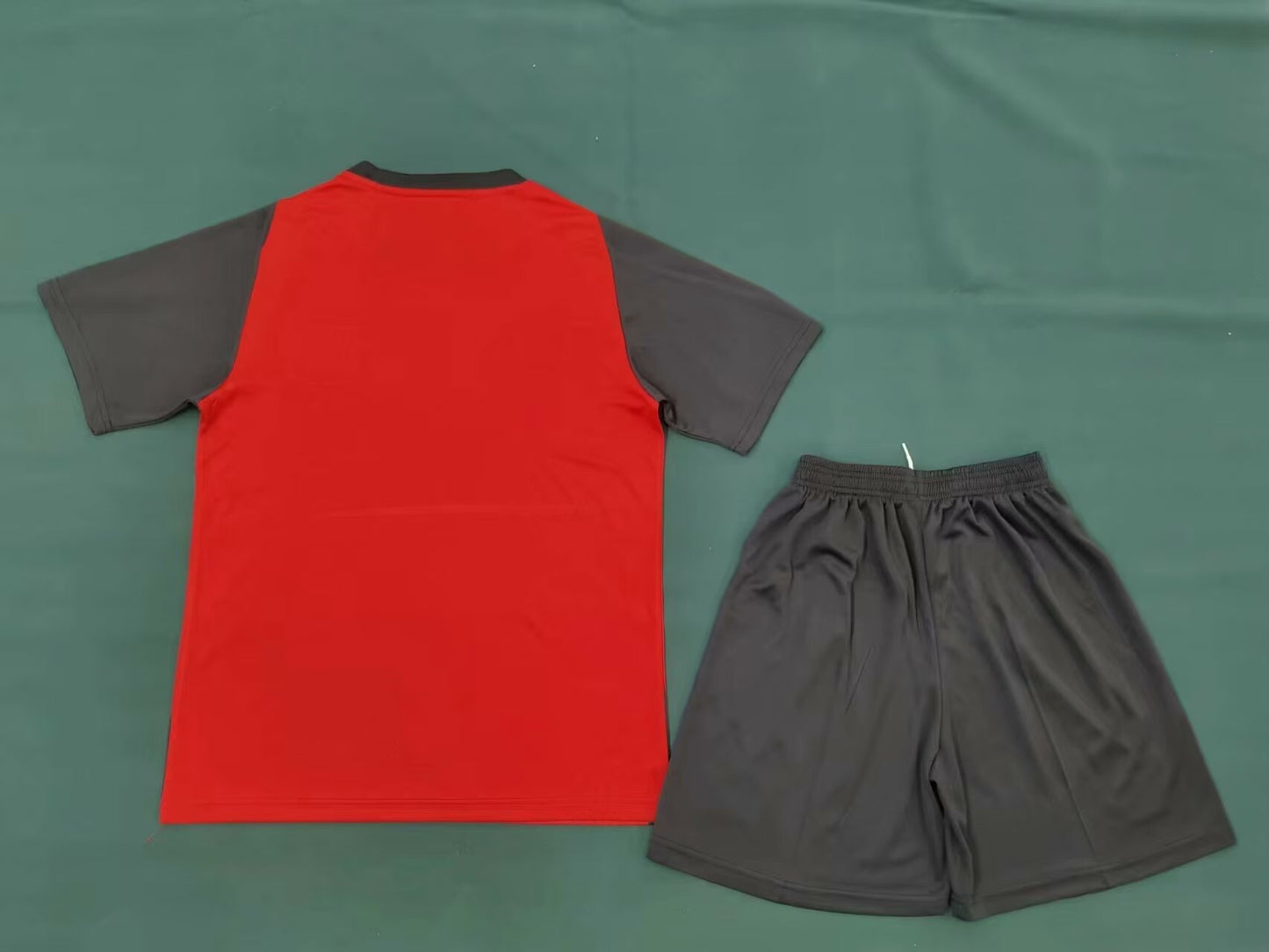 Leverkusen 2024/2025 Home Fan Version Football Jersey