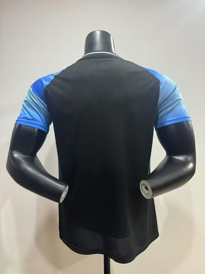 Real Madrid Special Edition 2025/2026 Fan Version Football Jersey