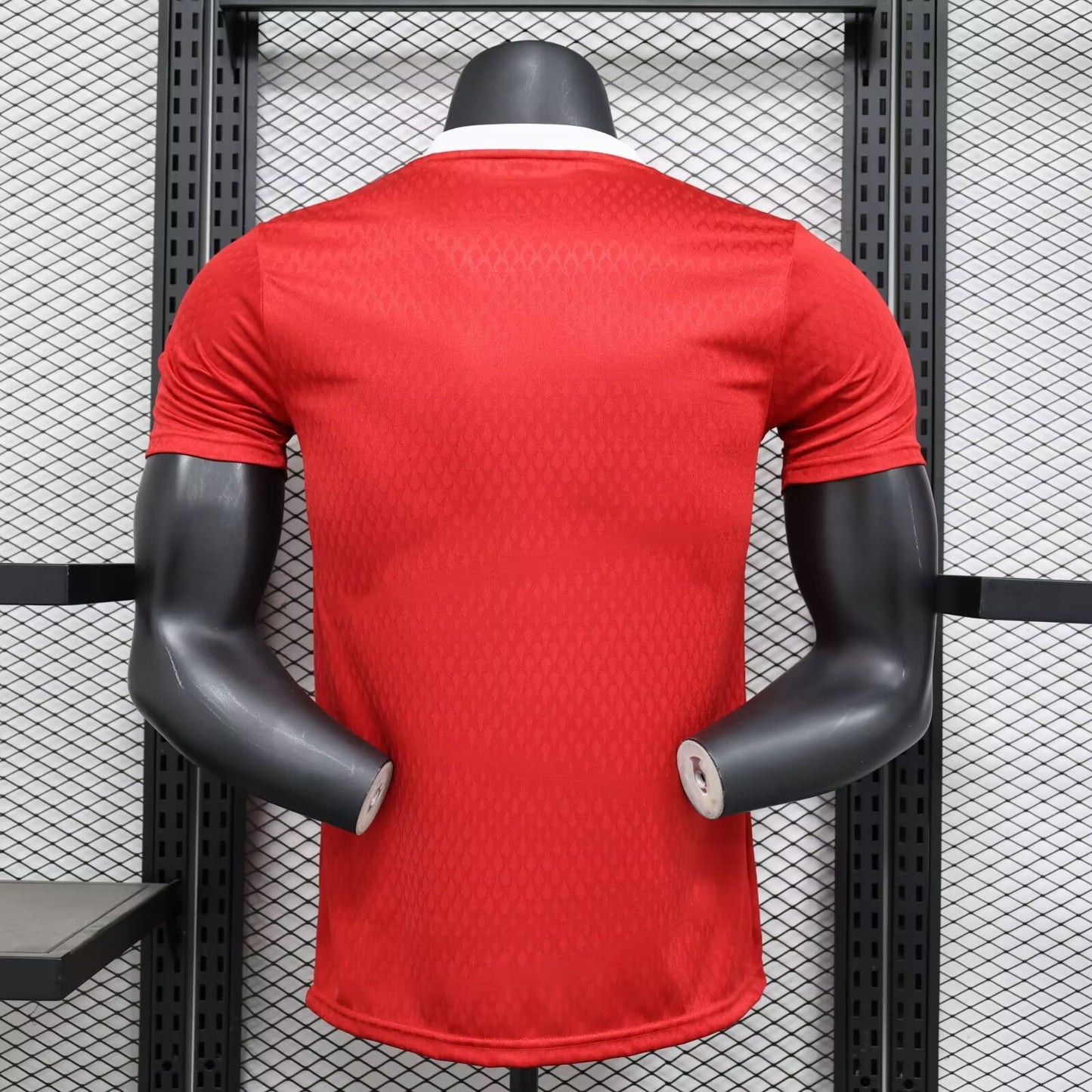 Manchester United Special Edition 2024/2025 Player Version Football Jersey