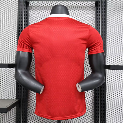 Manchester United Special Edition 2024/2025 Player Version Football Jersey