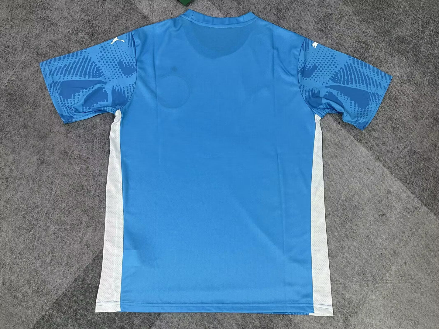 Palmeiras 2025/2026 Goalkeeper Fan Version Football Jersey