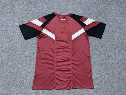 Ajax Special Edition 2024/2025 Fan Version Football Jersey