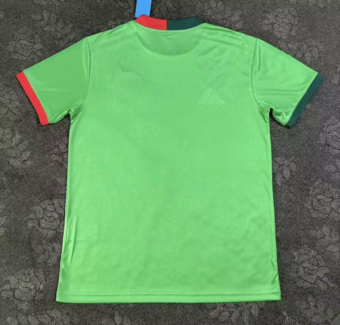 Mexico Special Edition 2025/2026 Fan Version Football Jersey