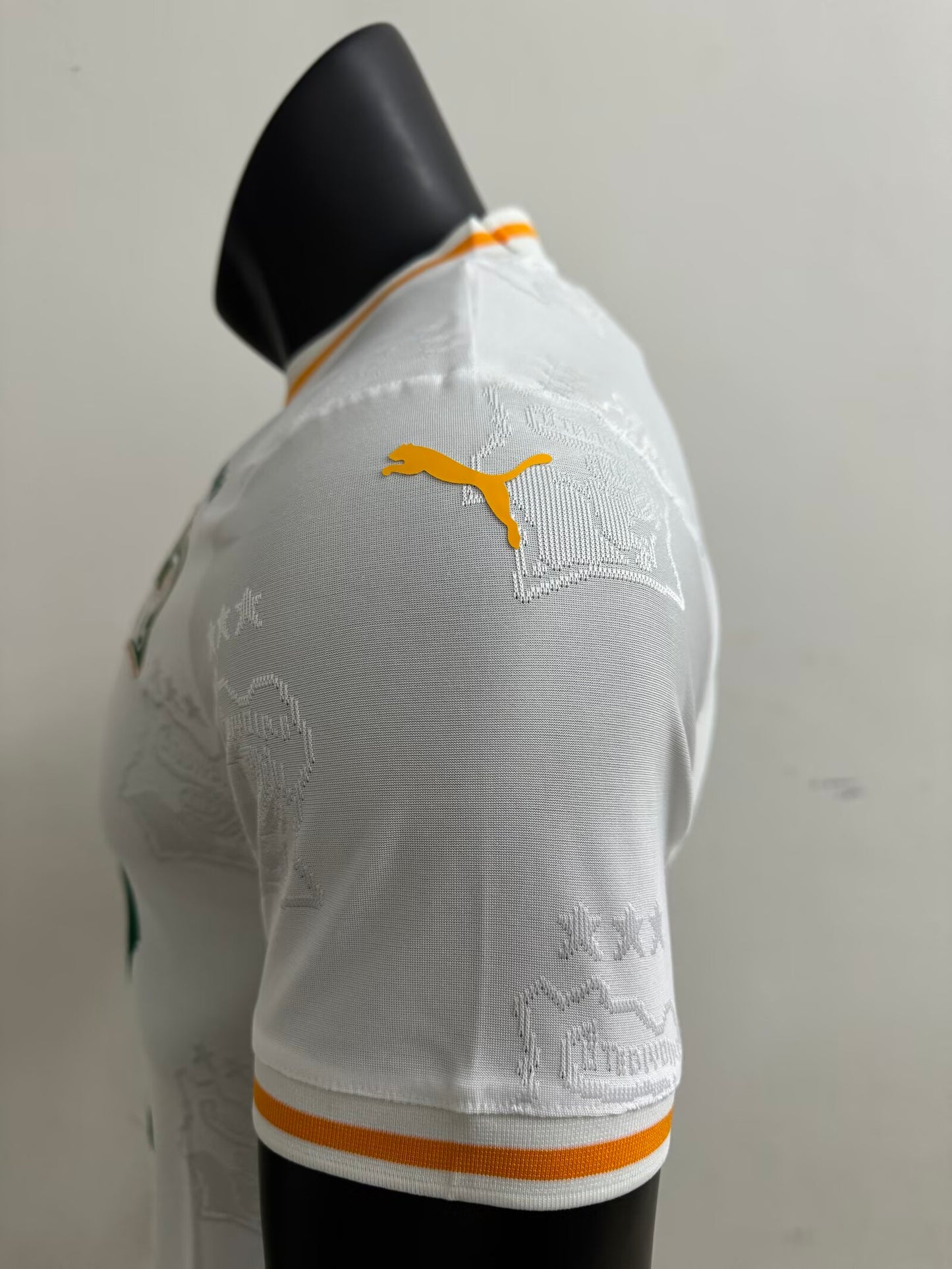 Cote dIvoire 2025/2026 Away Player Version Football Jersey
