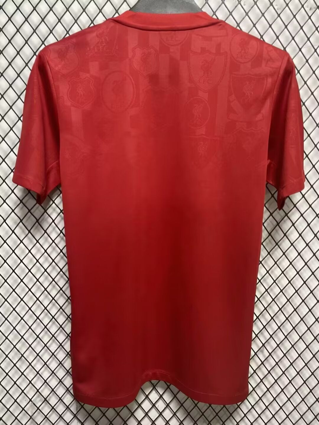 Liverpool Special Edition 2024/2025 Fan Version Football Jersey
