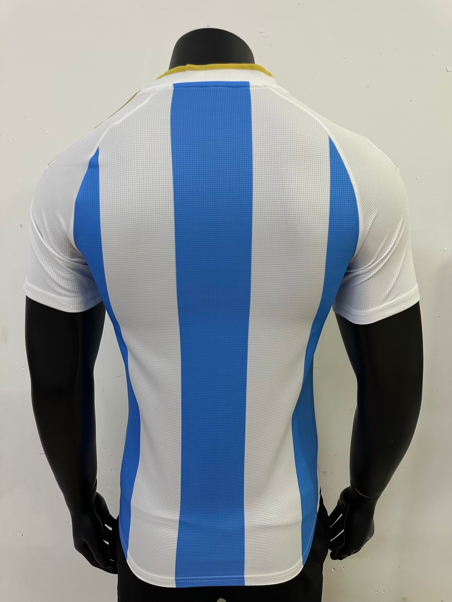 Argentina 2025/2026 Home Player Version Football Jersey