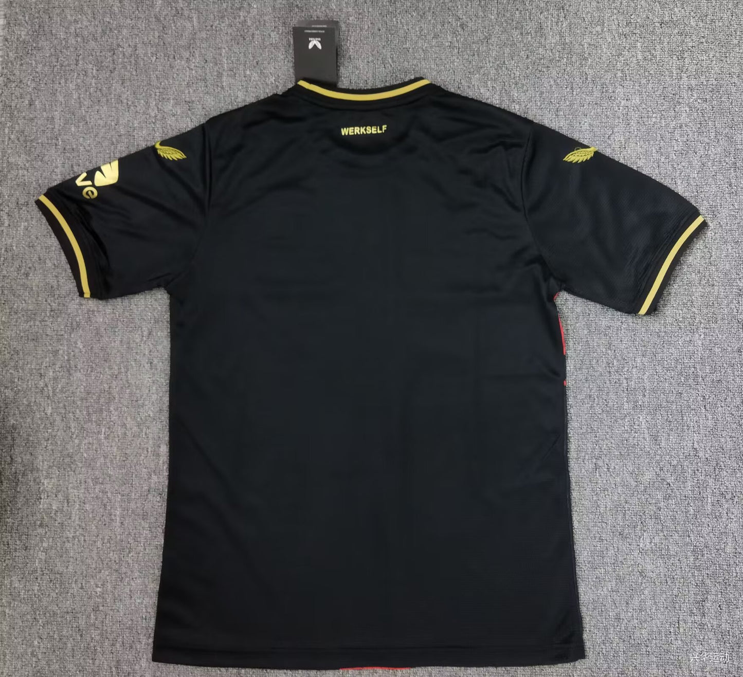 Leverkusen Special Edition 2024/2025 Fan Version Football Jersey