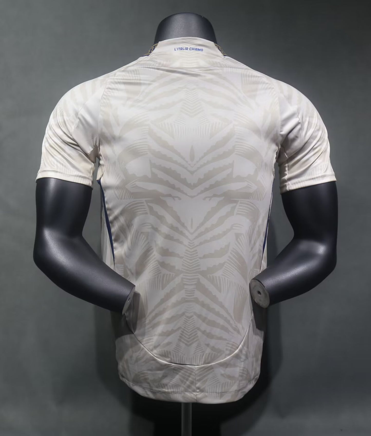 Italy Special Edition 2024/2025 Player Version Football Jersey
