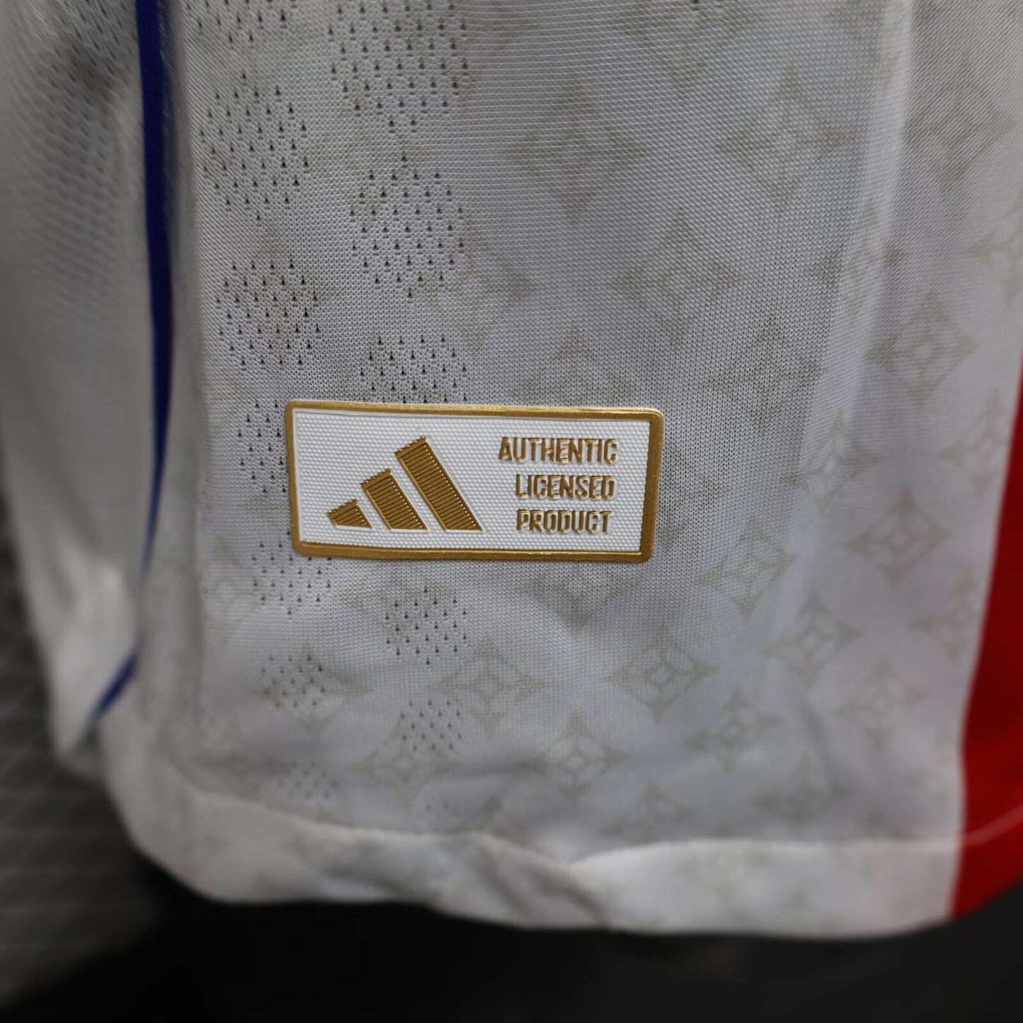 France -Ligue 1 2025/2026 Home Player Version Football Jersey
