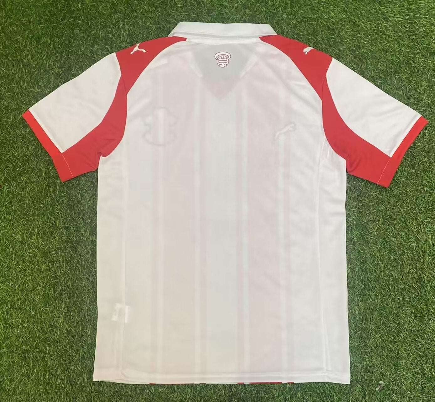 Southampton 2025/2026 Home Fan Version Football Jersey