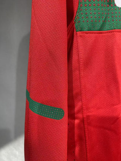 Retro Portugal 2010 Home Long Sleeve Player Version Football Jersey