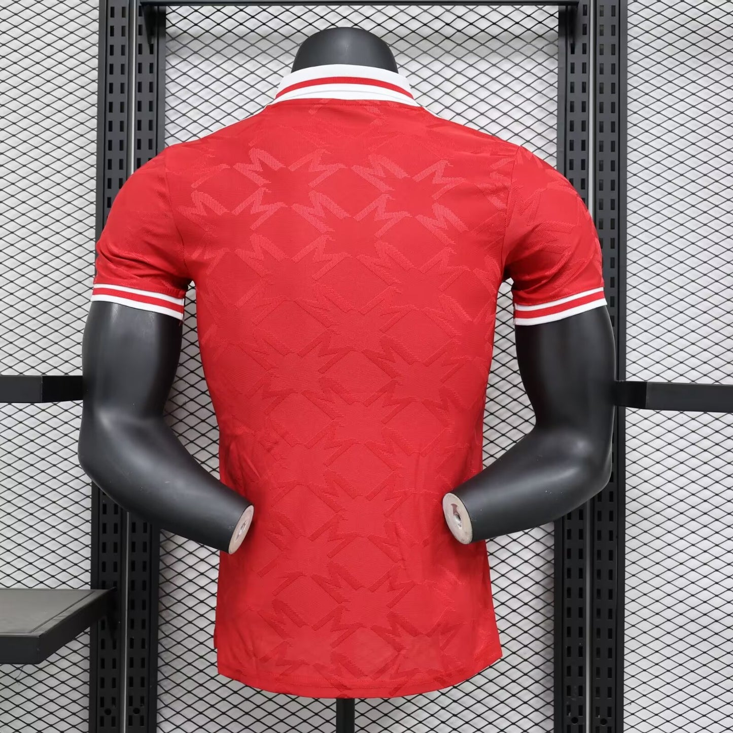 Manchester United Special Edition 2024/2025 Player Version Football Jersey