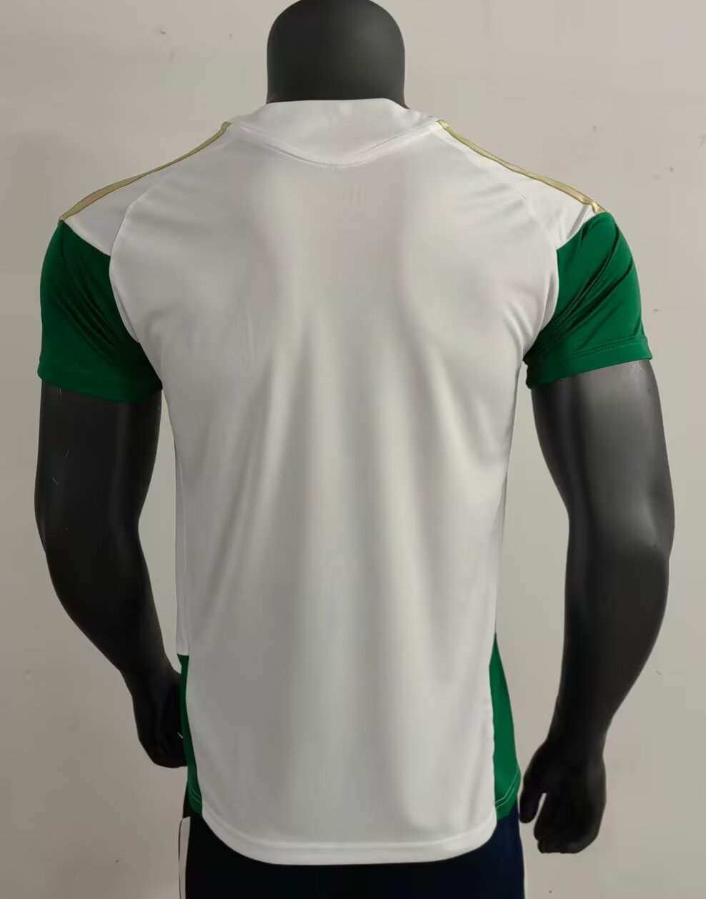 Italy Special Edition 2025/2026 Fan Version Football Jersey