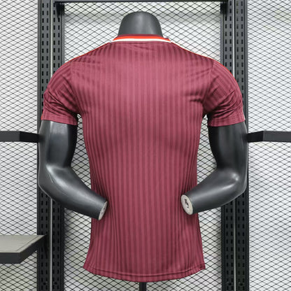 Bayern Munich Special Edition 2024/2025 Player Version Football Jersey