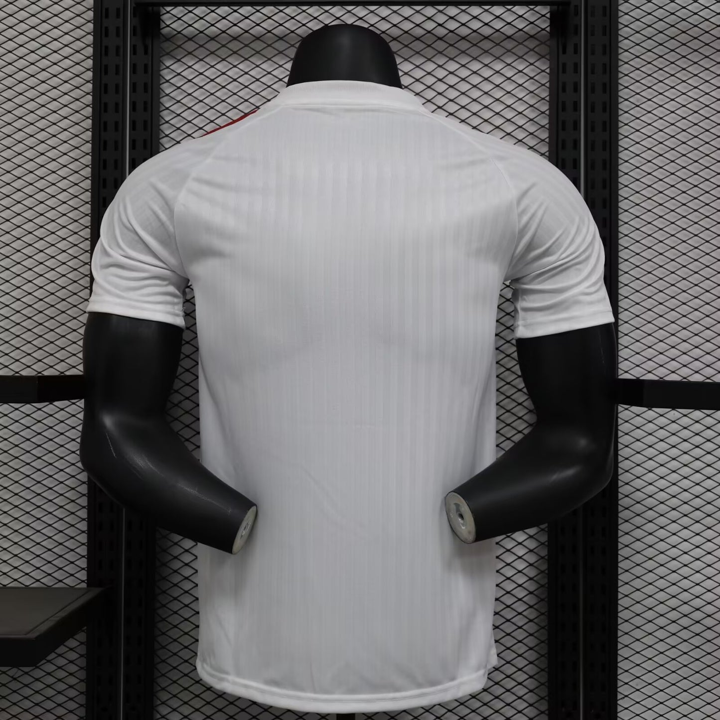 Manchester United Special Edition 2024/2025 Player Version Football Jersey