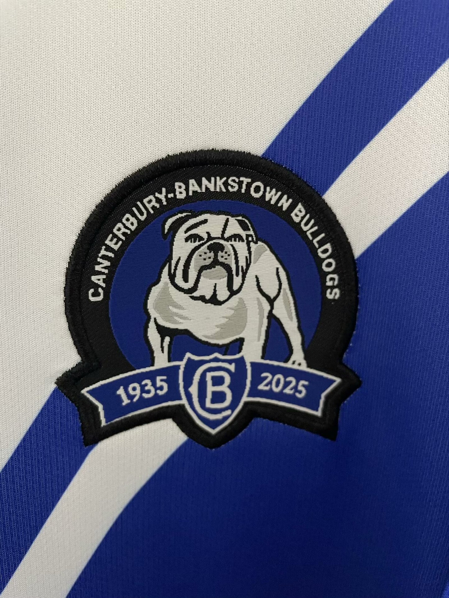 Rugby Jerseys 2025 Dog Home Fan Version Football Jersey