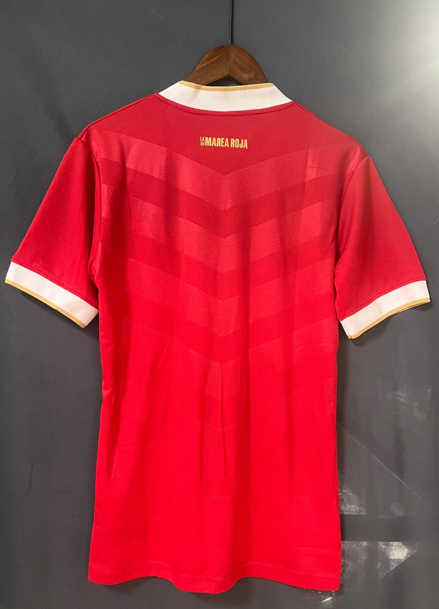 Panama 2024/2025 Home Fan Version Football Jersey