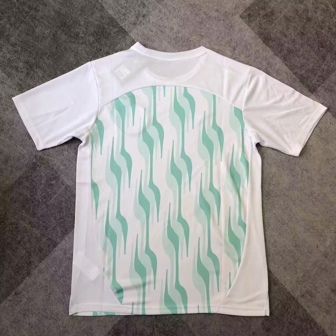 Palmeiras 2025/2026 Fan Version Tracksuit