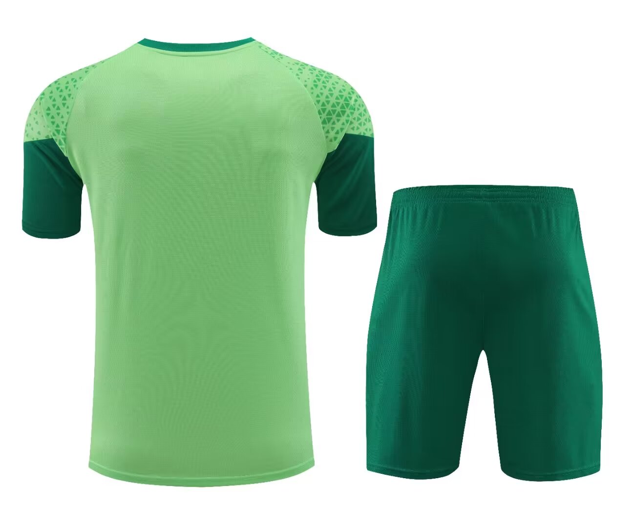 Palmeiras 2024/2025 Tracksuit