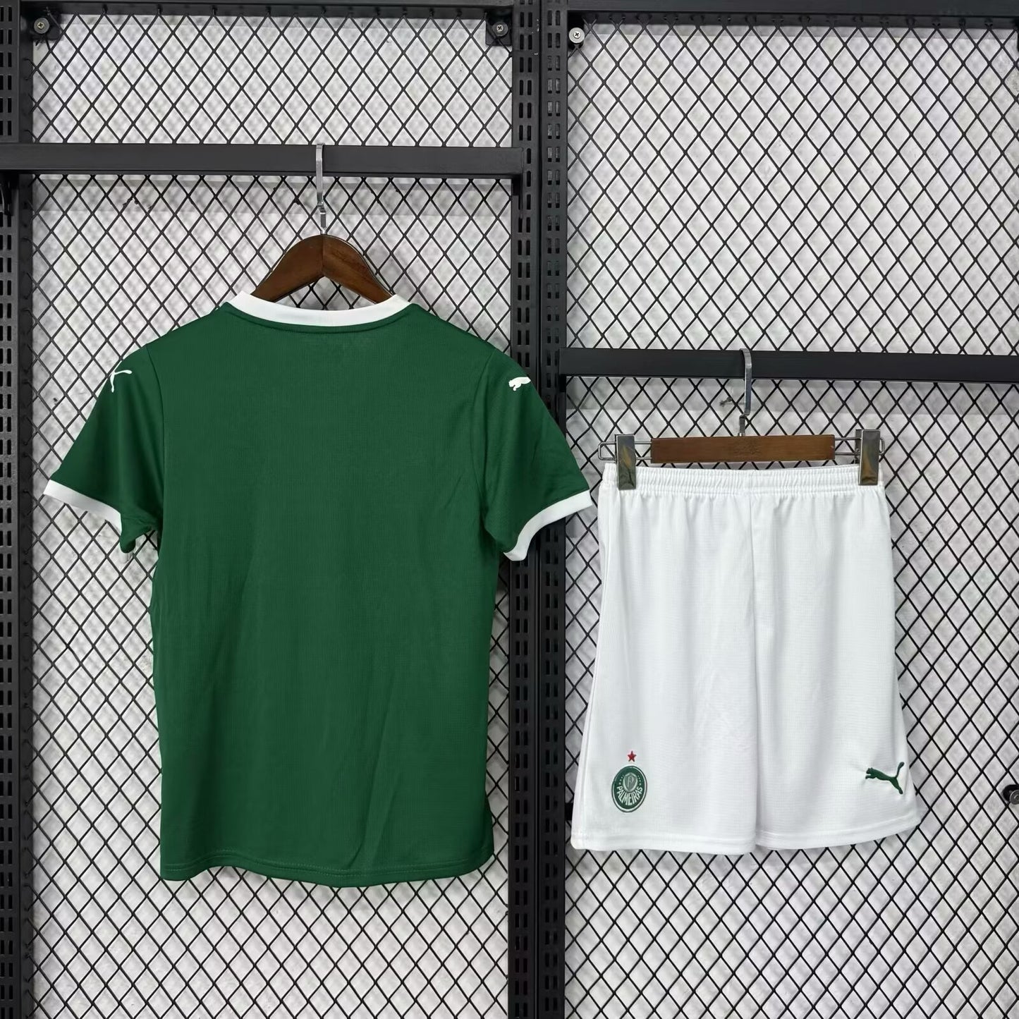 Palmeiras 2025/2026 Home Fan Version Football Jersey