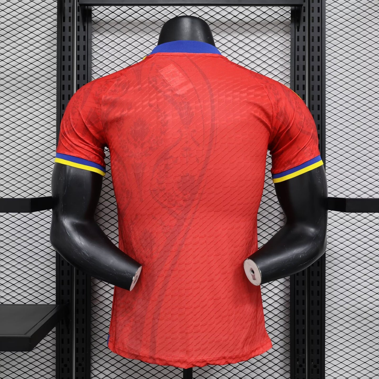Spain Special Edition 2024/2025 Player Version Football Jersey