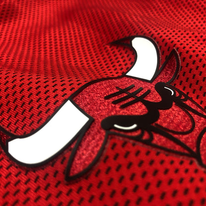 Chicago Bulls Jacket