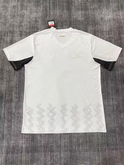 Leverkusen 2024/2025 Away Fan Version Football Jersey