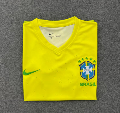 Brazil Special Edition 2025/2026 Fan Version Football Jersey