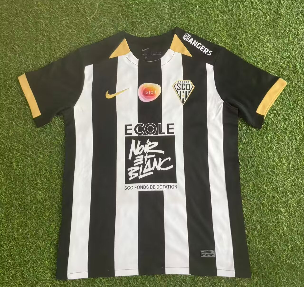 France -Ligue 1 2025/2026 Home Fan Version Football Jersey