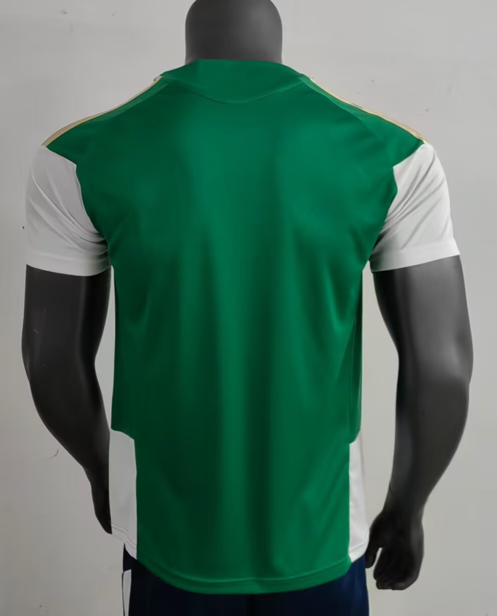 Italy Special Edition 2025/2026 Fan Version Football Jersey