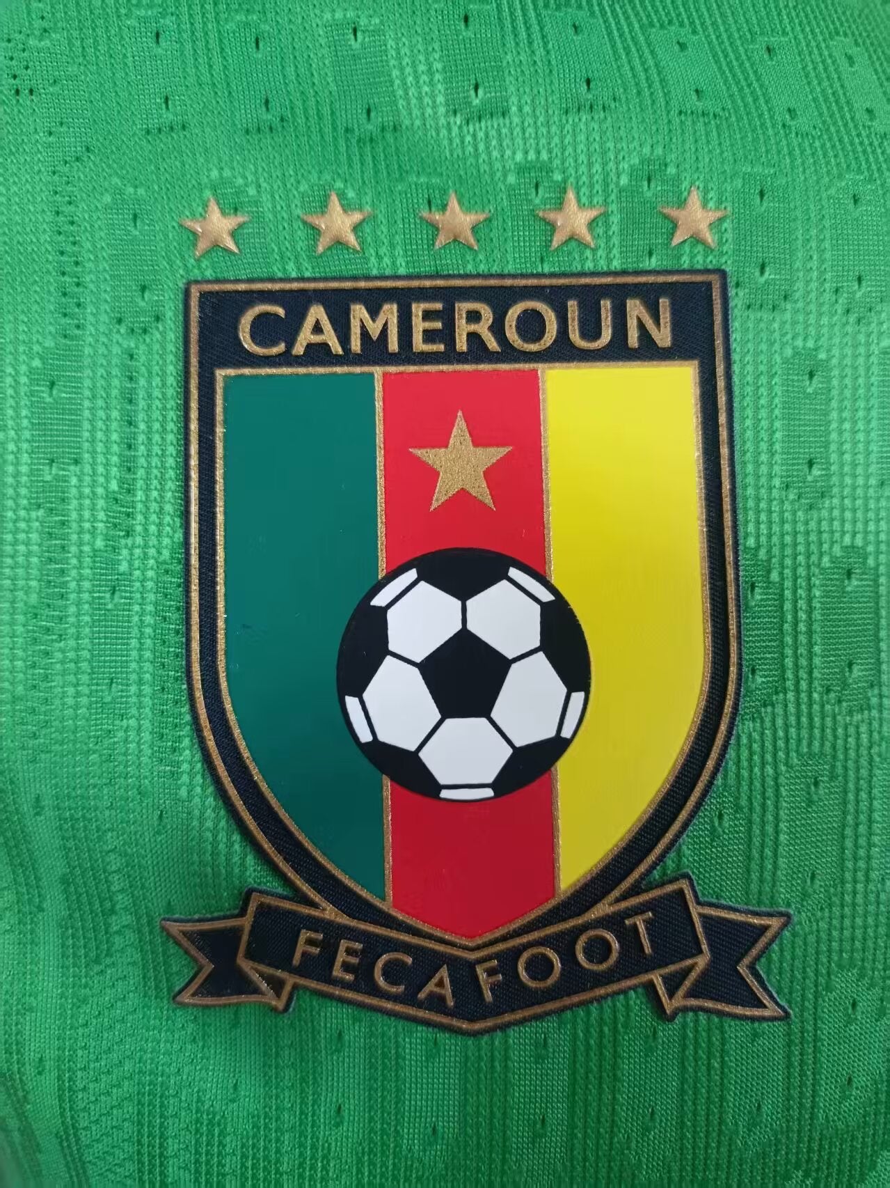 Cameroon 2025/2026 Home Player Version Football Jersey