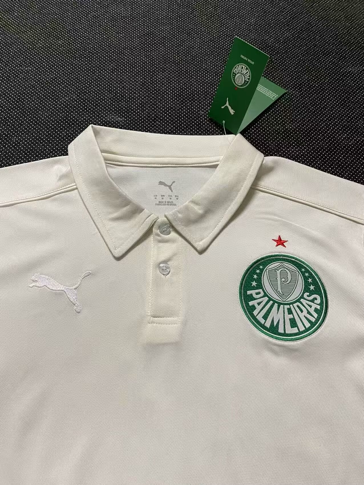 Palmeiras Special Edition 2025/2026 Fan Version Football Jersey