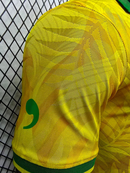 Brazil Special Edition 2024/2025 Player Version Football Jersey