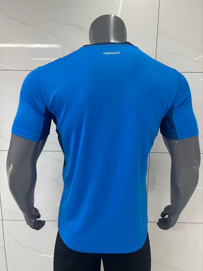 Iceland 2026/2027 Home Fan Version Football Jersey