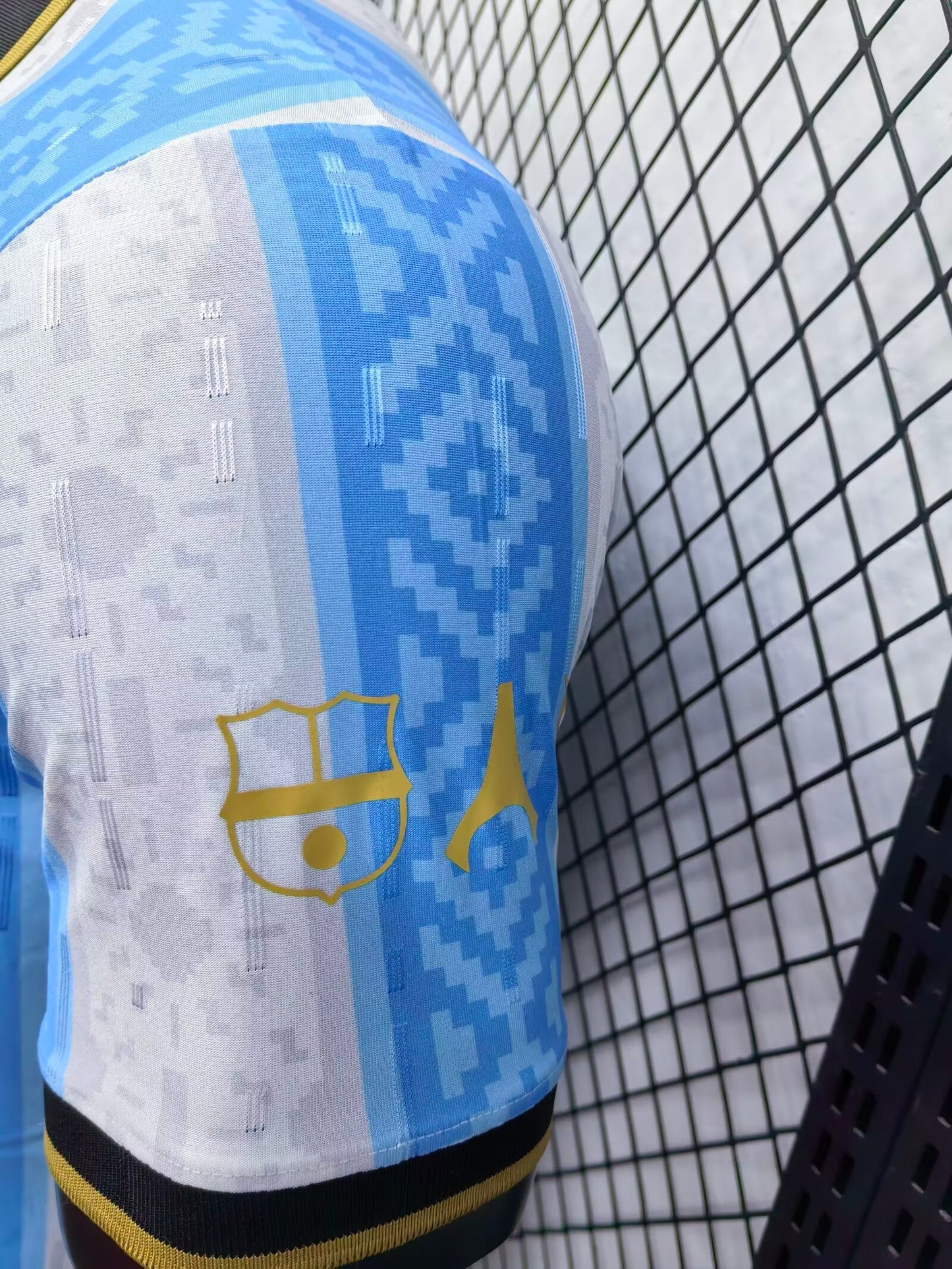 Argentina Special Edition 2024/2025 Player Version Football Jersey