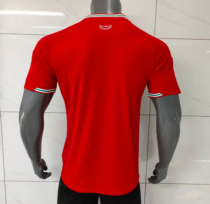 Wales 2026/2027 Home Fan Version Football Jersey