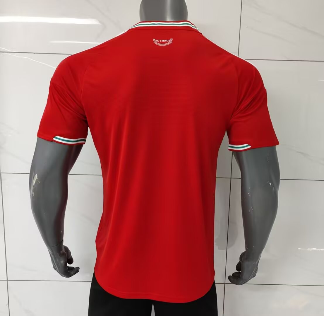 Wales 2026/2027 Home Fan Version Football Jersey
