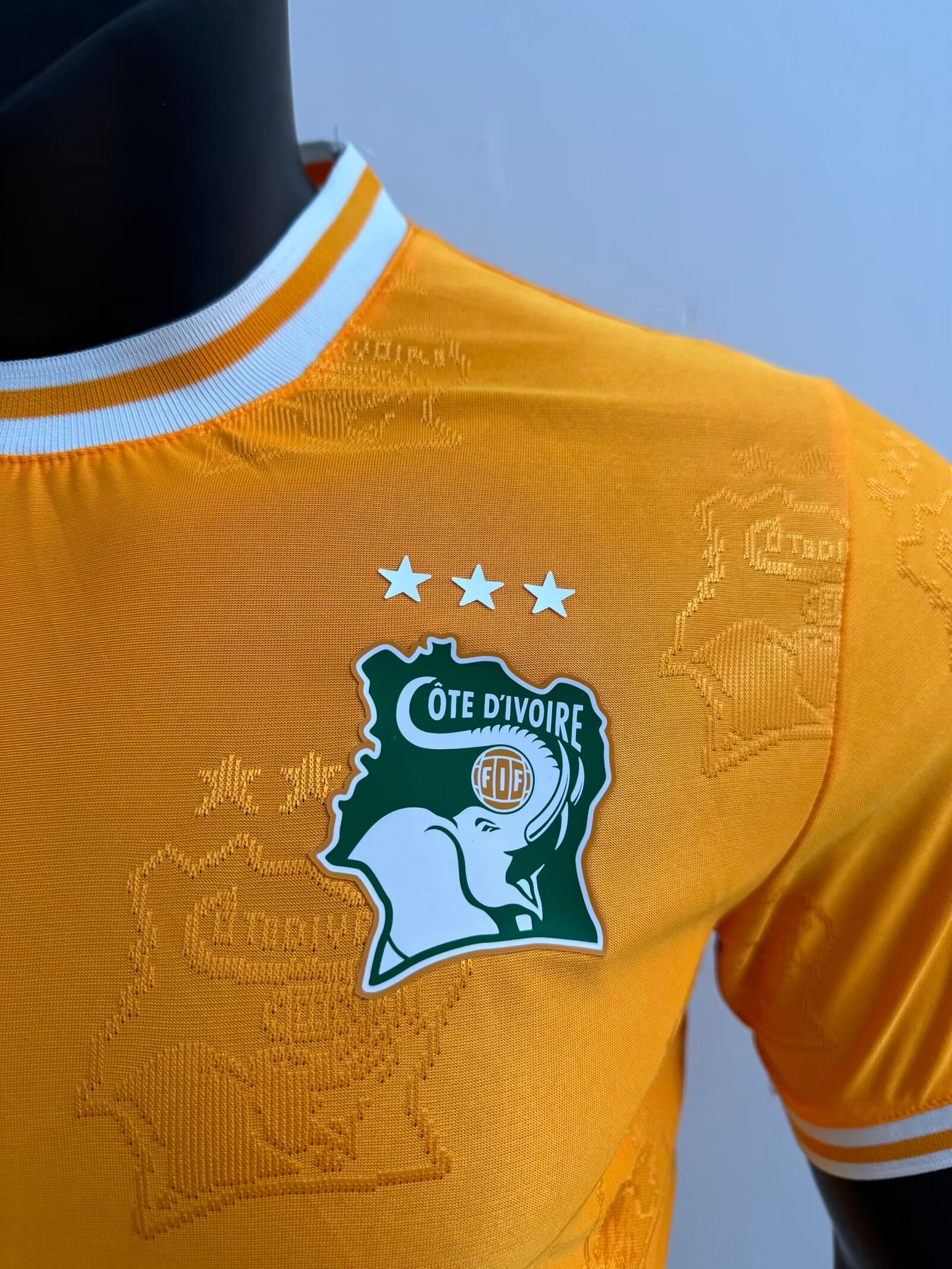 Cote dIvoire 2025/2026 Home Player Version Football Jersey