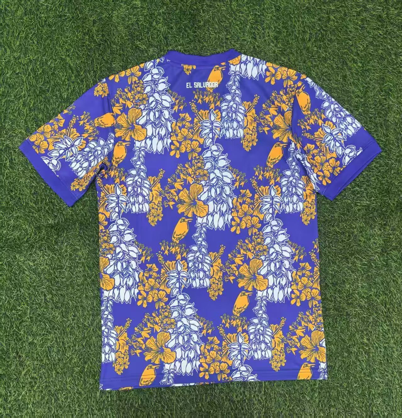 other national team 2025/2026 Fan Version Tracksuit
