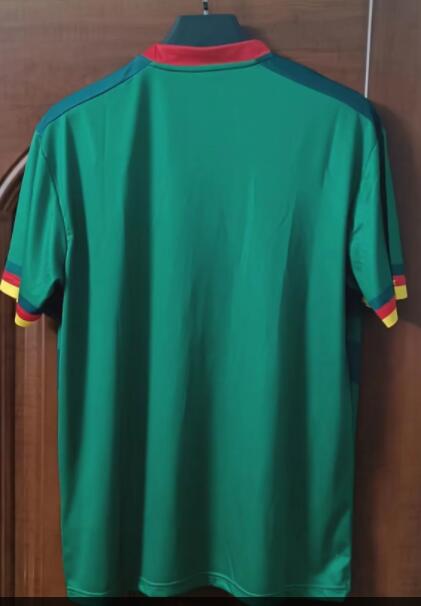 Cameroon 2022/2023 Home Fan Version Football Jersey