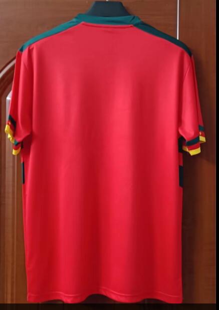 Cameroon 2022/2023 Away Fan Version Football Jersey