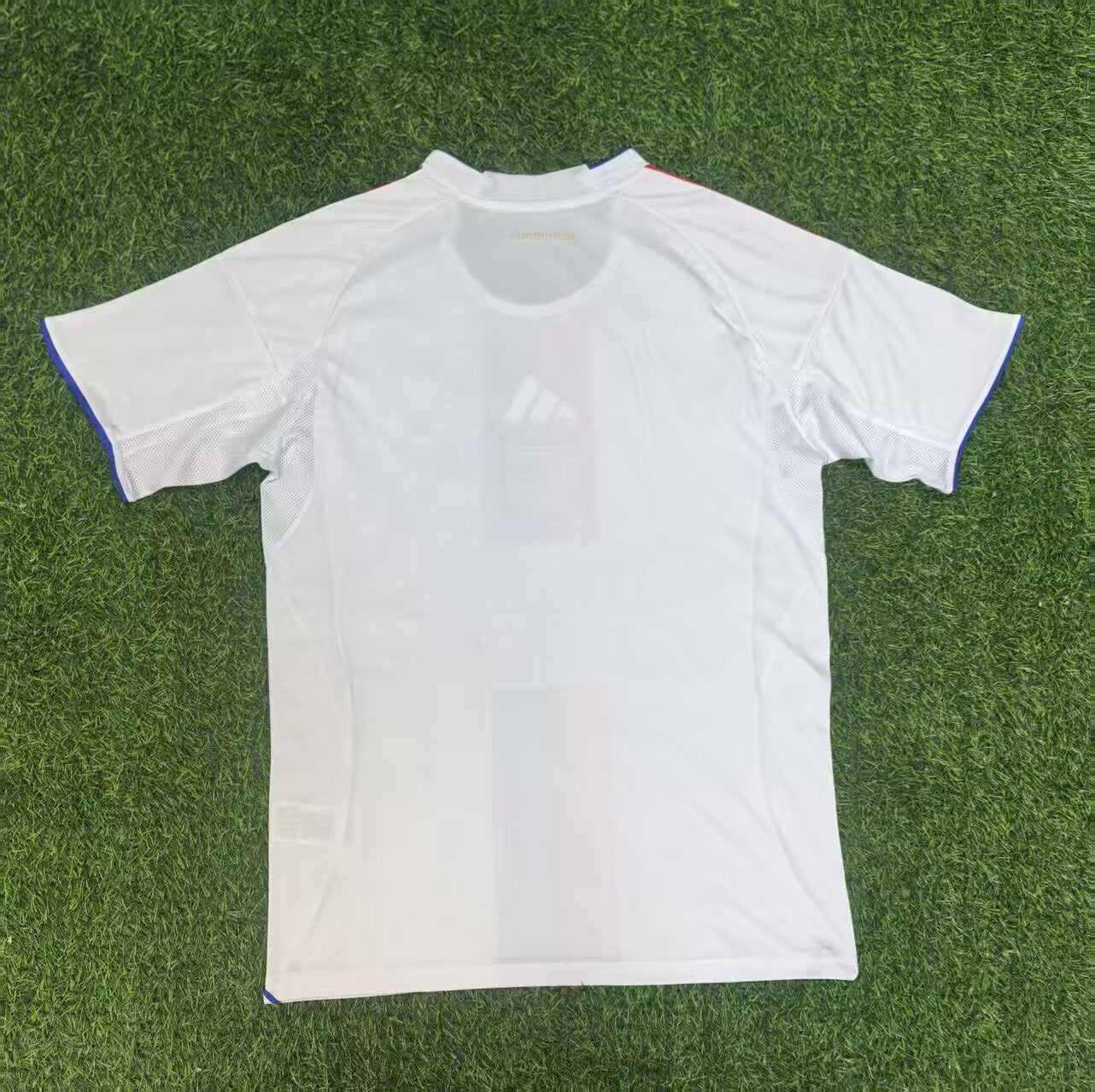 France -Ligue 1 2025/2026 Home Fan Version Football Jersey
